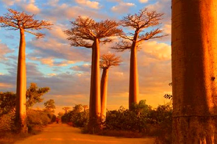 Mila, 27 — Escort in Morondava, Madagascar
