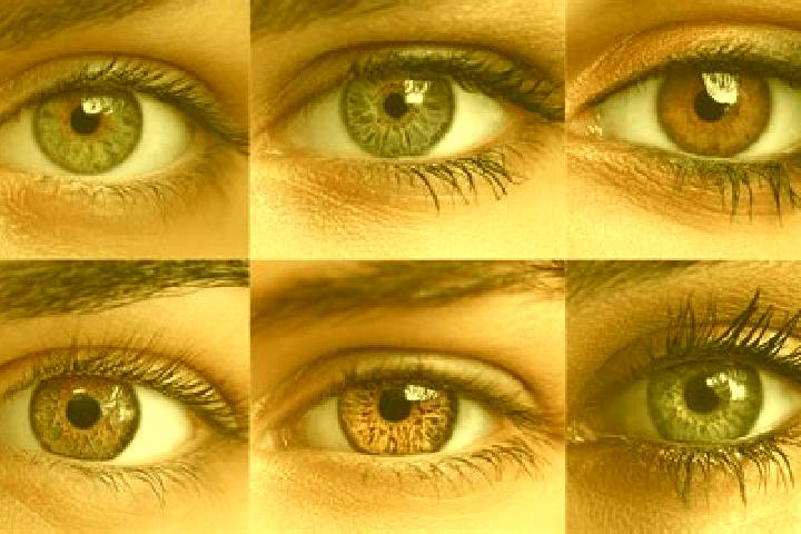 Mila, 28, a red hazel-eyed caucasian companion based in Marizopolis. Offering 69, Girlfriend Experience, Fetish, Roleplay, Deep French Kissing. Available for...