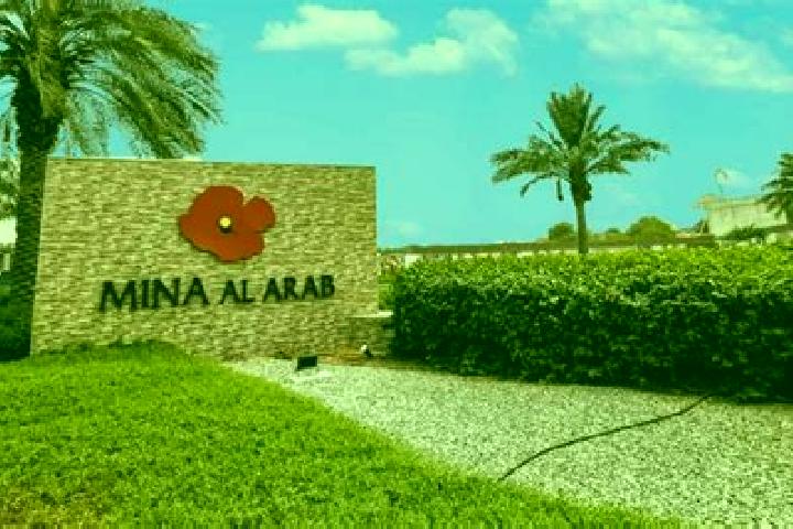 Mila, 28 — Escort in Brummanat al Mashayikh, Syria