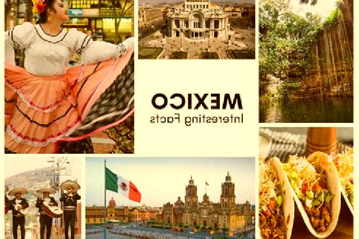 Mila, 28 — Escort in Ocotequila, Mexico