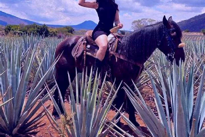 Mila, 28 — Escort in San Julian, Mexico