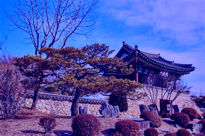 Mila, 29 — Escort in Cheongpung, South Korea