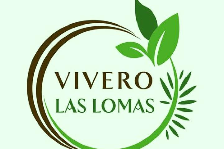 Mila, 29 — Escort in Fronton Vivero, Mexico
