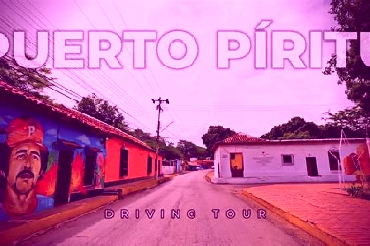 Mila, 29 — Escort in Puerto Piritu, Venezuela