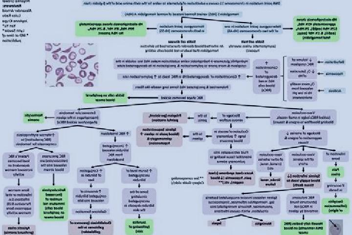 Mila, 29 — Escort in Qianzhan, China