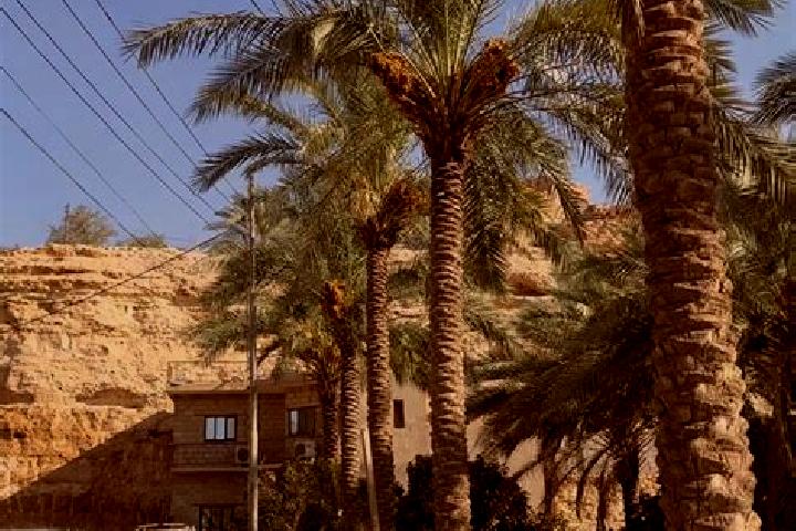 Mila, 29 — Escort in Rawah, Iraq