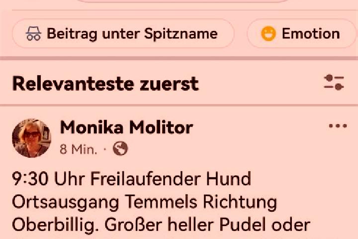 Mila, 29 — Escort in Temmels, Germany