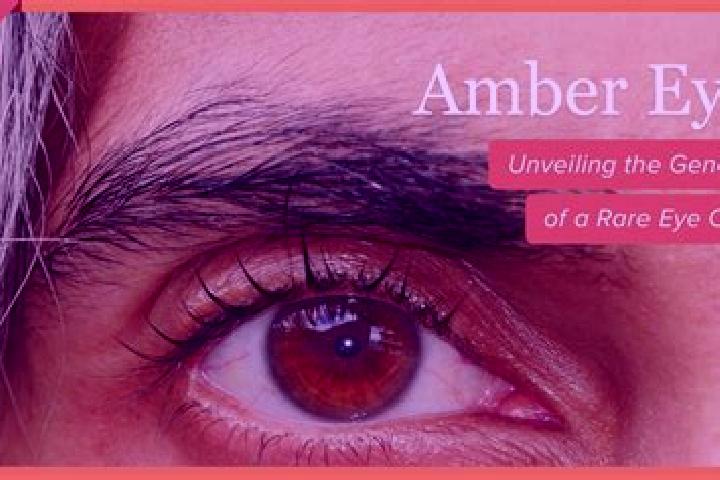 Mila, 31, a red amber-eyed mediterranean companion based in Bamhni. Offering Girlfriend Experience, Overnight, Duos. Available for incall and outcall, overni...