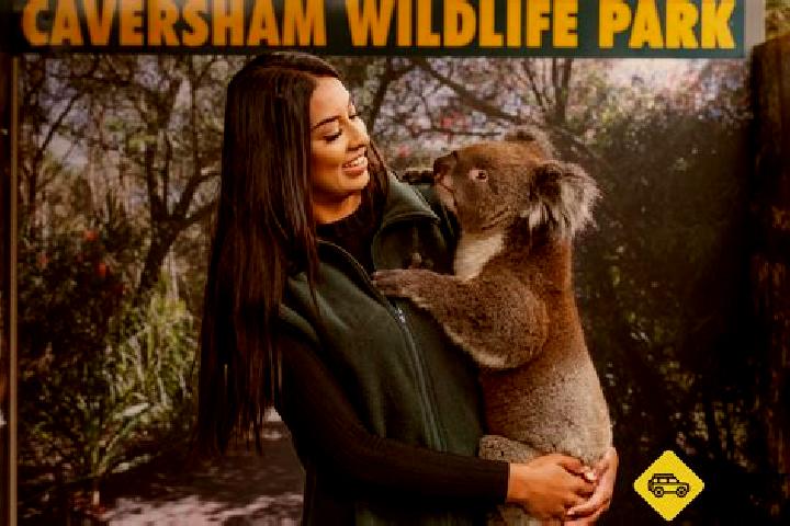 Mila, 31 — Escort in Caversham, New Zealand