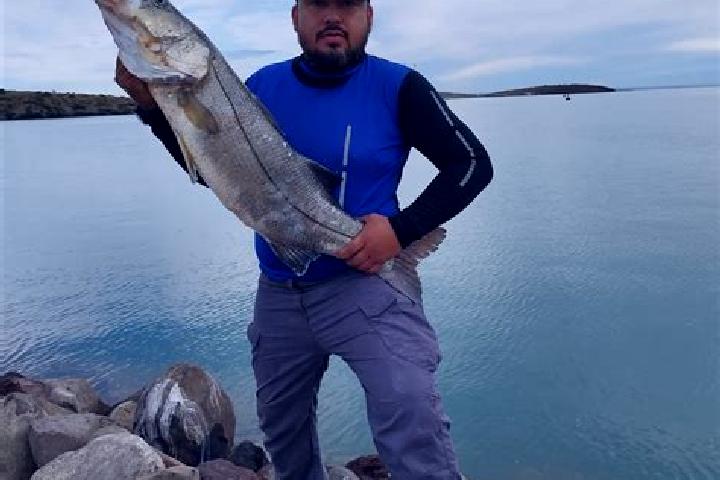 Mila, 31 — Escort in Ladrillera Pescador, Mexico