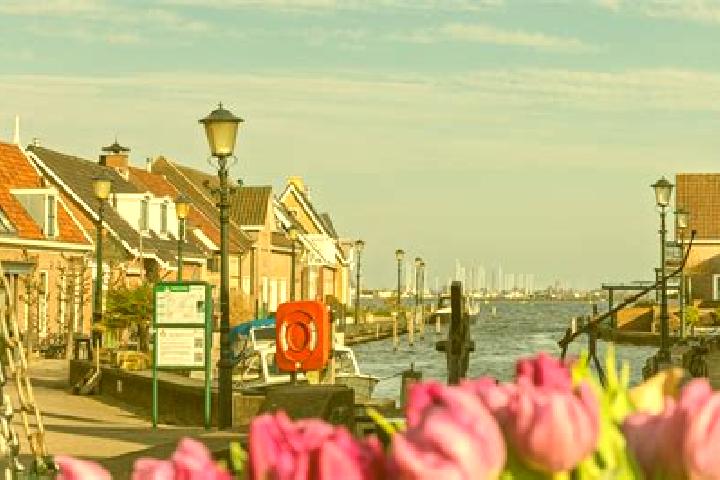 Mila, 31 — Escort in Oude Wetering, Netherlands