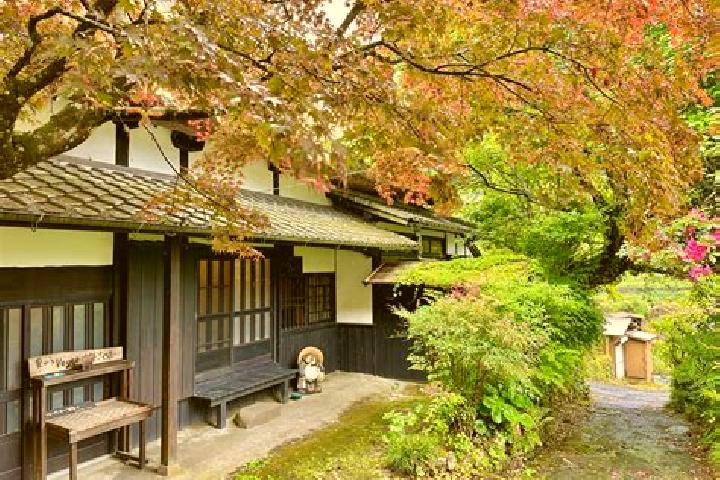 Mila, 31 — Escort in Ukiha, Japan