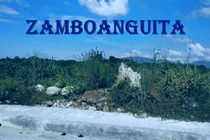 Mila, 31 — Escort in Zamboanguita, Philippines