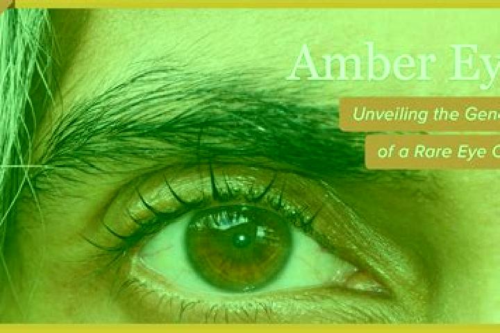 Mila, 32, a black amber-eyed indian companion based in Bhadgaon. Offering OWO, Dinner Date, Roleplay, 69. Available for incall and outcall, day and evening d...