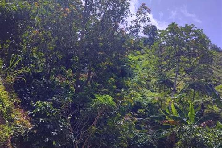 Mila, 32 — Escort in Adjuntas, Puerto Rico