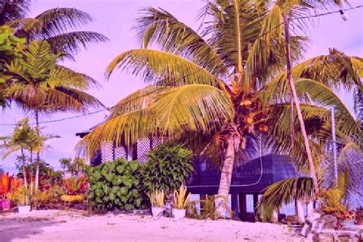 Mila, 32 — Escort in Matautu, Samoa