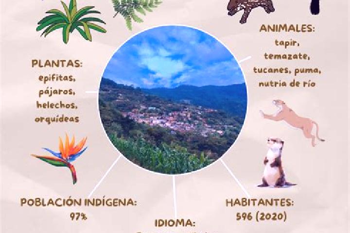 Mila, 32 — Escort in Santa Maria Yaviche, Mexico