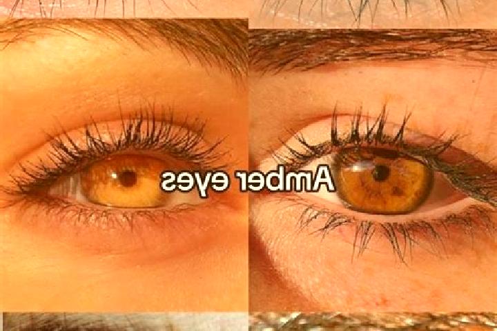 Mila, 33, a brunette amber-eyed mixed companion based in Froncles. Offering A-Level, Striptease, Erotic Massage, OWO, Massage. Available for incall and outca...