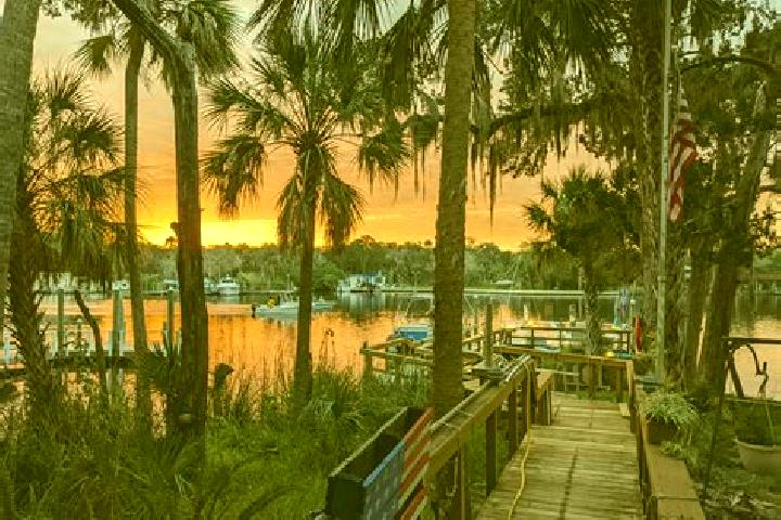 Mila, 33 — Escort in Homosassa, United States
