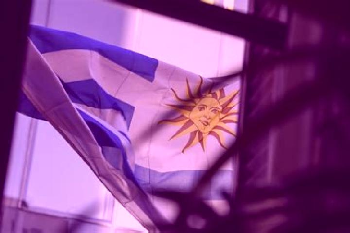 Mila, 33 — Escort in La Paz, Uruguay