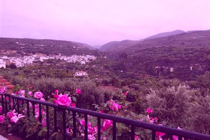 Mila, 34 — Escort in Albunuelas, Spain