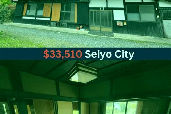 Mila, 34 — Escort in Seiyo, Japan