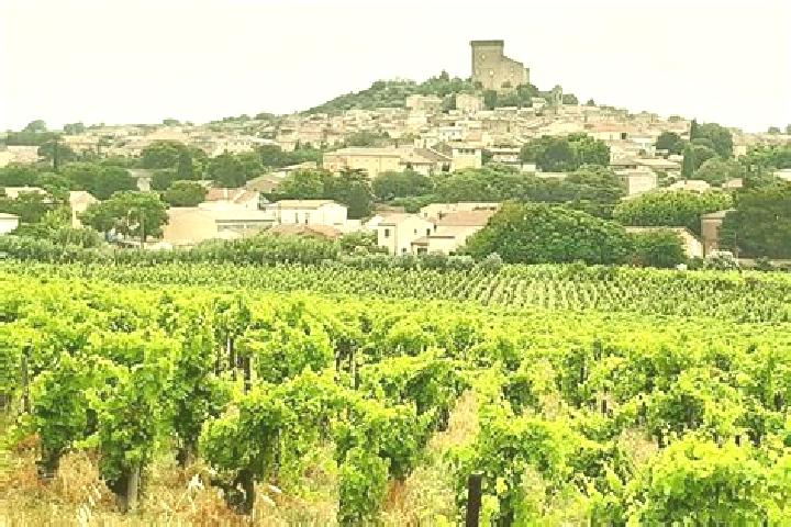 Mila, 35 — Escort in Chateauneuf-du-Rhone, France