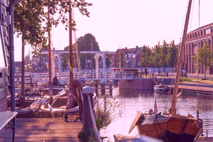 Mila, 35 — Escort in Harderwijk, Netherlands