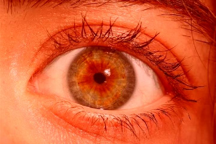 Mila, 36, a red hazel-eyed european companion based in Le Boupere. Offering 69, Tantra, OWO, Fetish. Available for incall and outcall, overnight bookings ava...