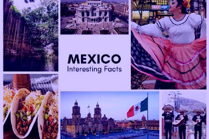 Mila, 36 — Escort in Cacalotepec, Mexico