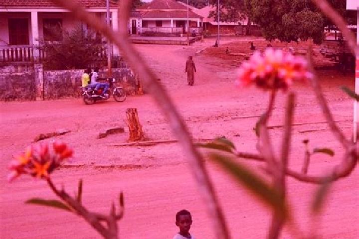 Mila, 36 — Escort in Fulacunda, Guinea-Bissau