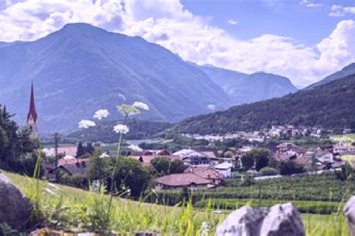 Mila, 36 — Escort in Naz-Sciaves - Natz-Schabs, Italy