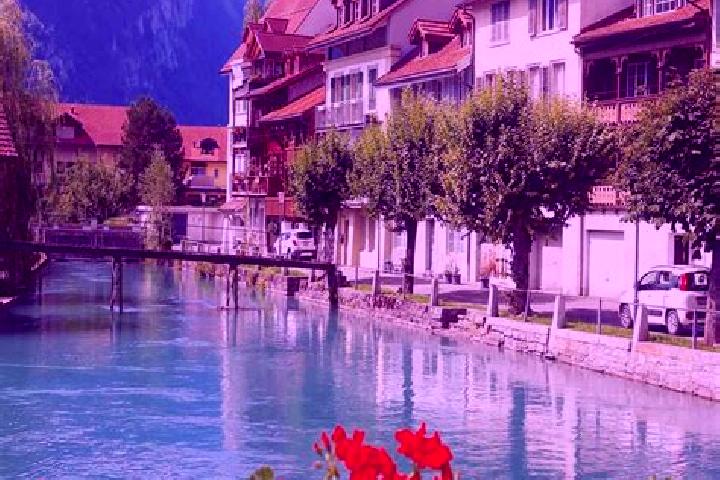 Mila, 36 — Escort in Savigny, Switzerland