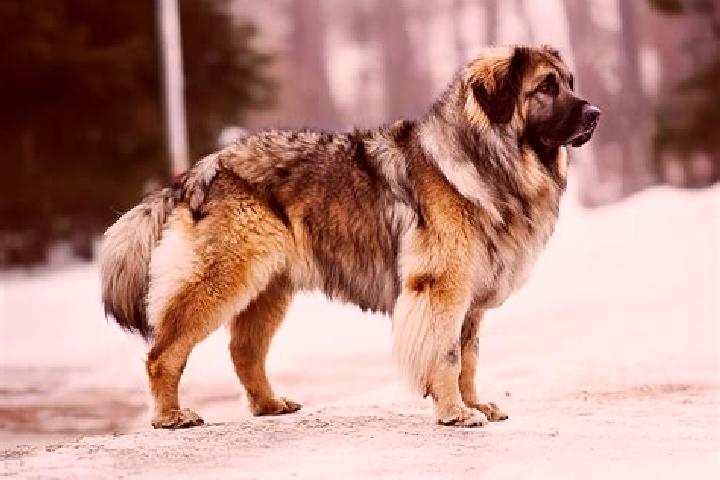 Mila, 37, a black brown-eyed caucasian companion based in Yunti. Offering OWO, Deep French Kissing, Domination, Travel Companion, CIM. Available for incall a...