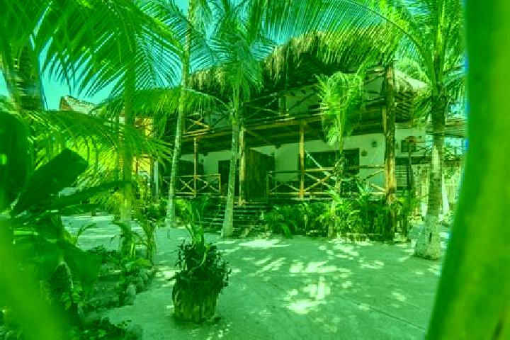 Mila, 37, a blonde dark-eyed middle eastern companion based in Isla Holbox. Offering Overnight, OWO, Couples. Available for incall and outcall, overnight boo...