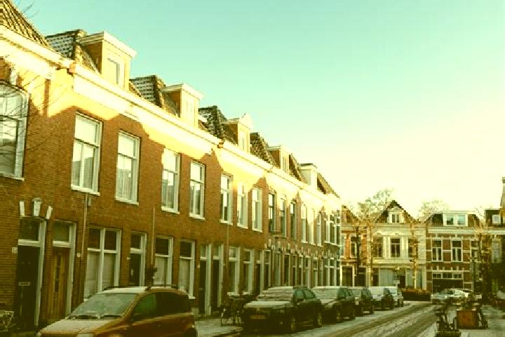 Mila, 37 — Escort in Korrewegwijk, Netherlands
