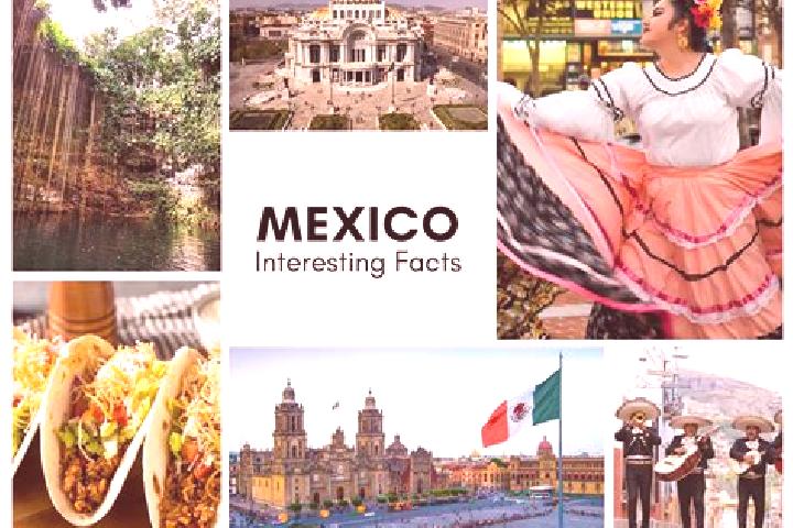 Mila, 37 — Escort in Otaez, Mexico