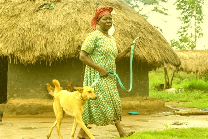 Mila, 37 — Escort in Paidha, Uganda