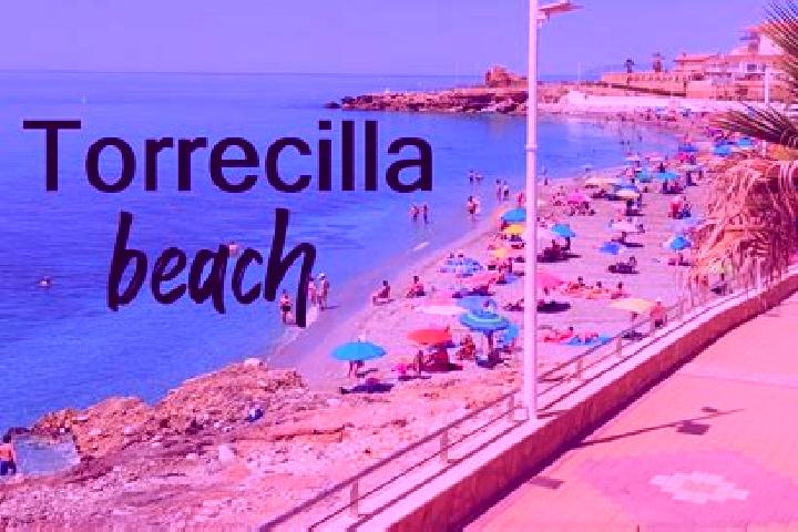 Mila, 37 — Escort in Torrecilla de la Torre, Spain