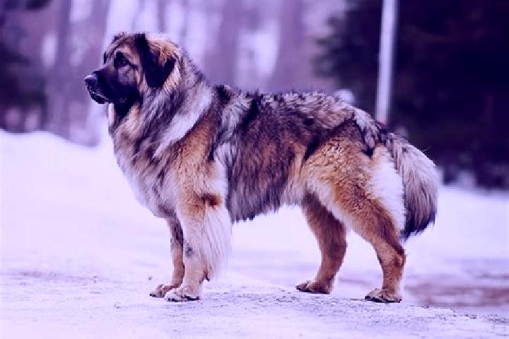 Mila, 38, a black grey-eyed caucasian companion based in Steyning. Offering OWO, Deep French Kissing, A-Level. Available for incall and outcall, day and even...