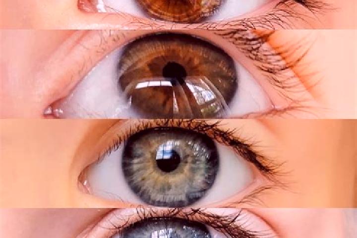 Mila, 38, a chestnut hazel-eyed caucasian companion based in Massino Visconti. Offering Party Girl, CIM, Roleplay. Available for incall and outcall, day and ...