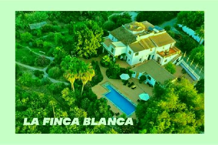 Mila, 38 — Escort in Finca Blanco, Panama