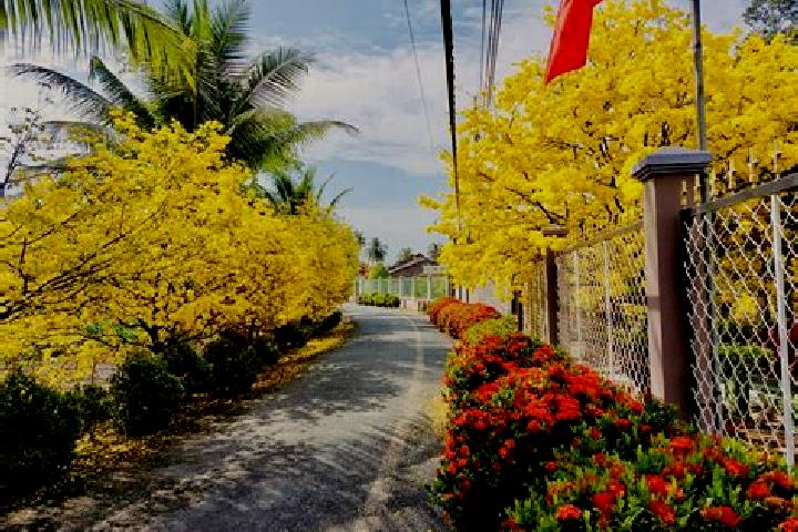 Mila, 38 — Escort in Hoa Vang, Vietnam
