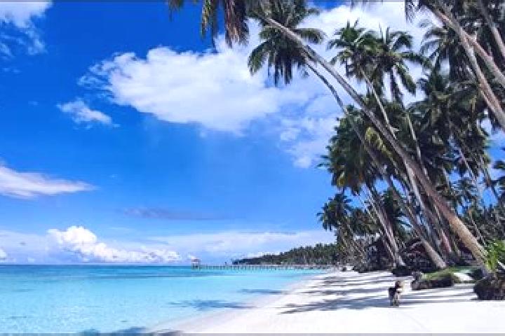 Mila, 38 — Escort in Jolo, Philippines