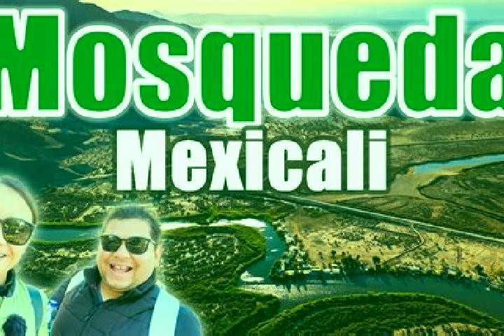 Mila, 38 — Escort in Noria de Mosqueda, Mexico