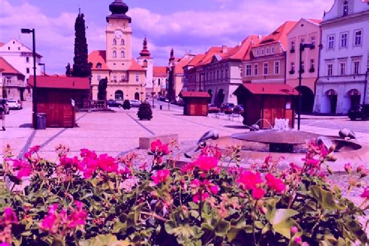 Mila, 38 — Escort in Zatec, Czech Republic