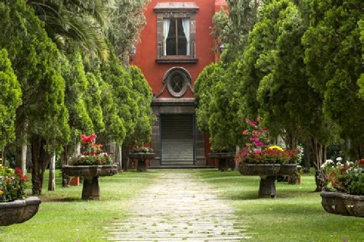 Mila, 39 — Escort in Hacienda Santa Rosa [Fraccionamiento], Mexico