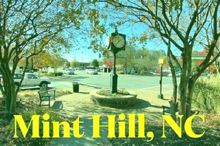 Mila, 39 — Escort in Mint Hill, United States
