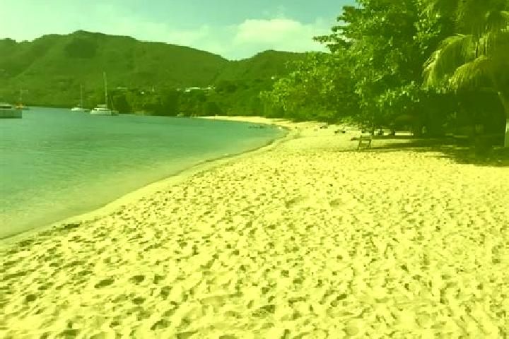 Mila, 39 — Escort in New Montrose, Saint Vincent and the Grenadines