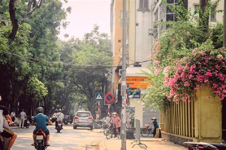 Mila, 39 — Escort in Pac Miau, Vietnam